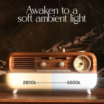 Bluetooth Speaker White Noise and Alarm Clock