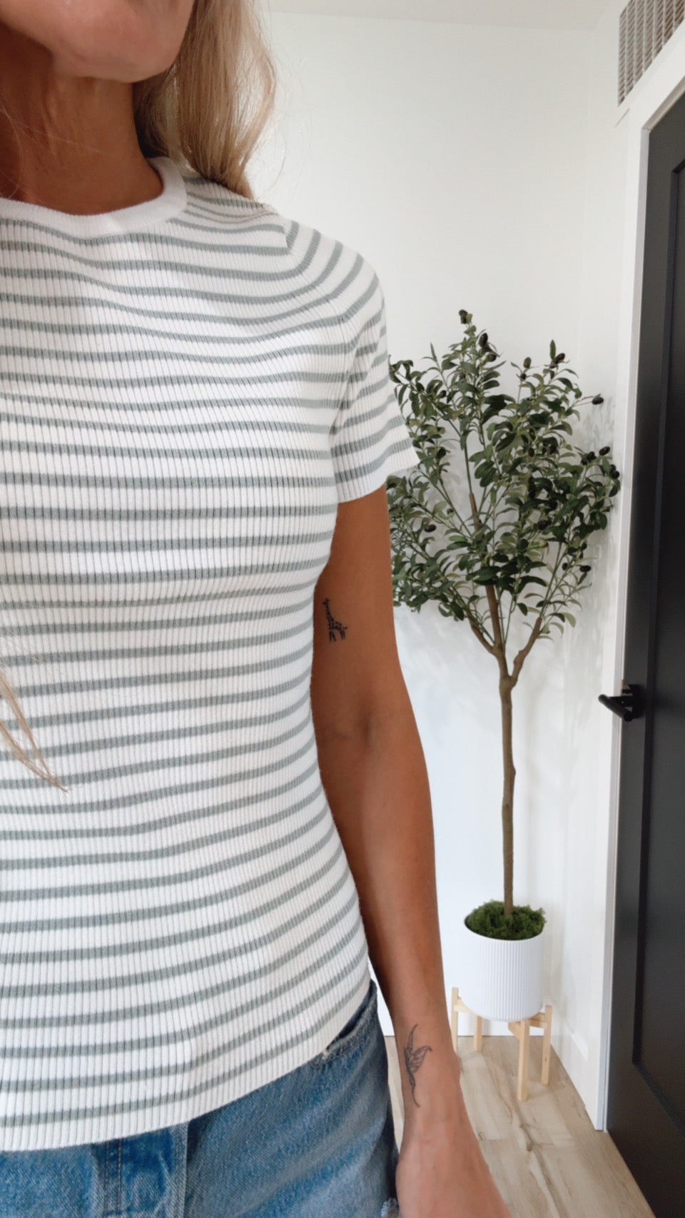 Striped Sage Knit Top